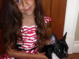 ~ENTER HERE~ February Frenchie of the Month "Be My Frenchie-Tine"