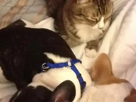 Snoring and tooting