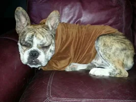 Just Trying To Get Some Sleep Around Here!!!