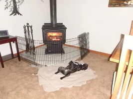 Winter is coming... time to lounge by the fire!