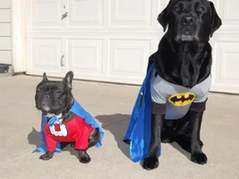 Trick or Treat