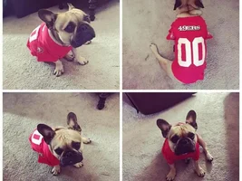 Jax and his new 49ers jersey