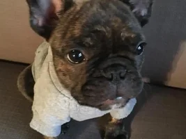 Does this sweater make my head look too big?