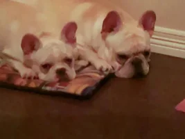 Henri and Katie