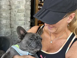 SPAYED process post opt- what type of care and best way to care once this procedure is done.