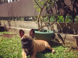 Hello from Indonesia