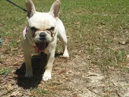 Godzilla enjoys the sunshine!!!