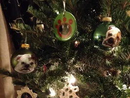 *First Annual Ornament Exchange Sharing Thread*