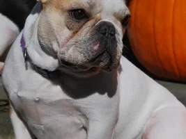 Happy fall everyone!