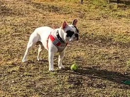 Hello, Meet Snatch from Austin TX