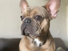 Moki is old now!