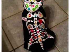 Happy Día de Muertos!