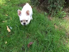 Welcome Silvie!