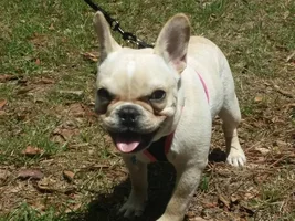 Godzilla enjoys the sunshine!!!