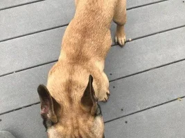 Rusty- help please!!