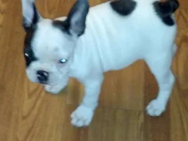 Cortana is home now!