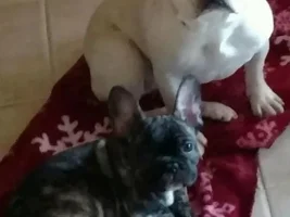 Monte and Reese updated pics