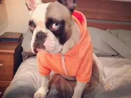 Fiona + hoodies = noooo