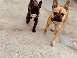 Milfred ♾ Millie new to FBN