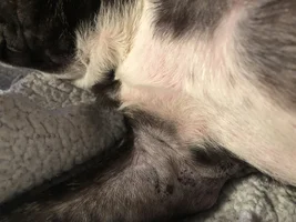 Ongoing skin issues