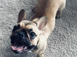 A big smile