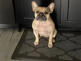 New to the forum!