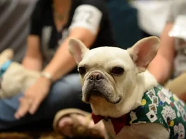 Travis at Vegas Nationals!