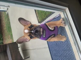 Hello!