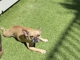 Rusty- help please!!