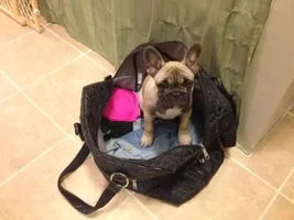 Hi -- here is Cheli