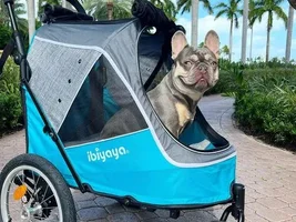 Pet Stroller - Any suggestions