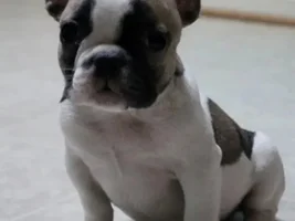 New Baby in NYC!