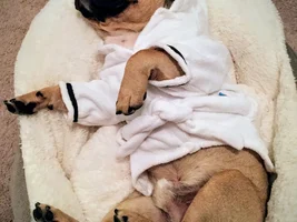 Drying off