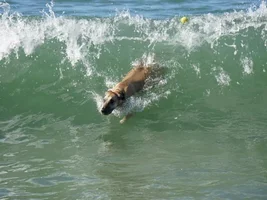Labor Day weekend = Beach time!!!