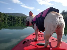 Kayaking adventures
