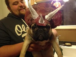 Halloween Fun :)