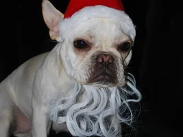 Ho Ho Ho pics....