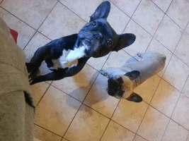 Max & pepper