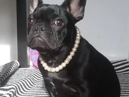 Ella in Pearls