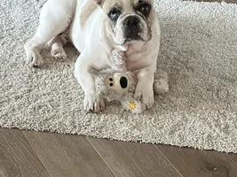 Hi Everyone