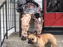 4 Paw Members, PLEASE VOTE for your favorite Autumn/Halloween Picture!