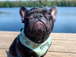 My little model!