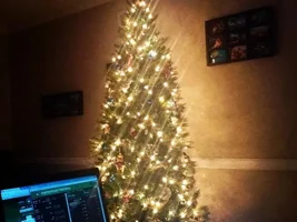 Let's see that tree!