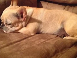 Awww sleepy baby