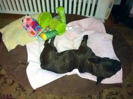 Diva's bedtime routine