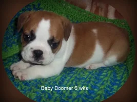 Our Baby Is 6 Weeks Old!