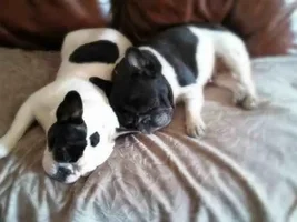 They love each other