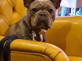 Hi 👋