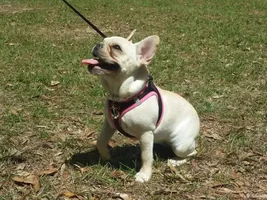 Godzilla enjoys the sunshine!!!