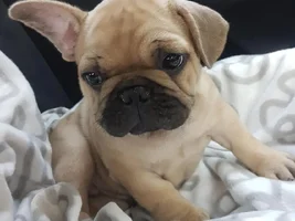 Big Gday from Winston in Australia!